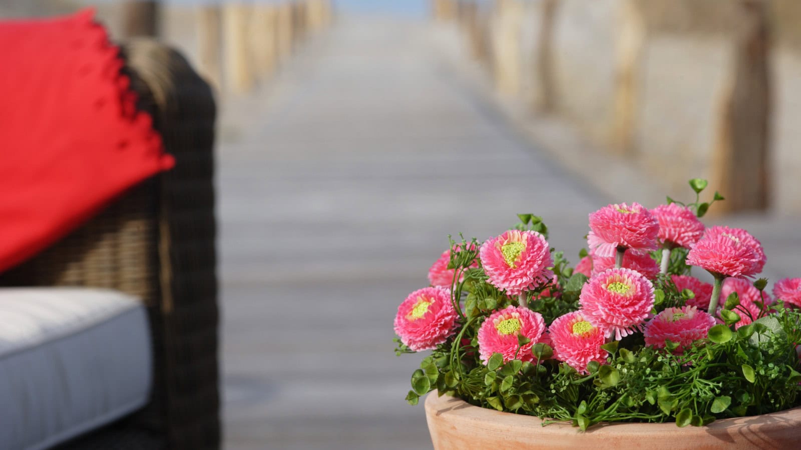 Blumen auf der Terrasse im Strandhotel Dünenmeer