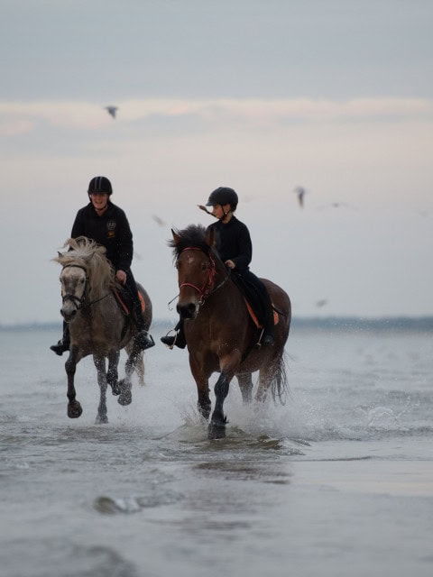 Ausritt an der Ostsee im Strandhotel Dünenmeer