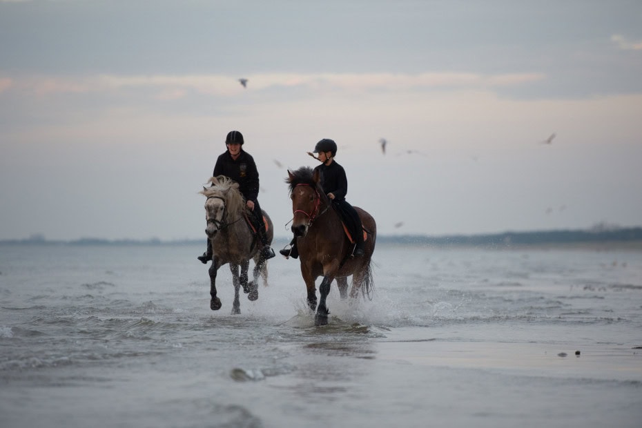 Ausritt an der Ostsee im Strandhotel Dünenmeer