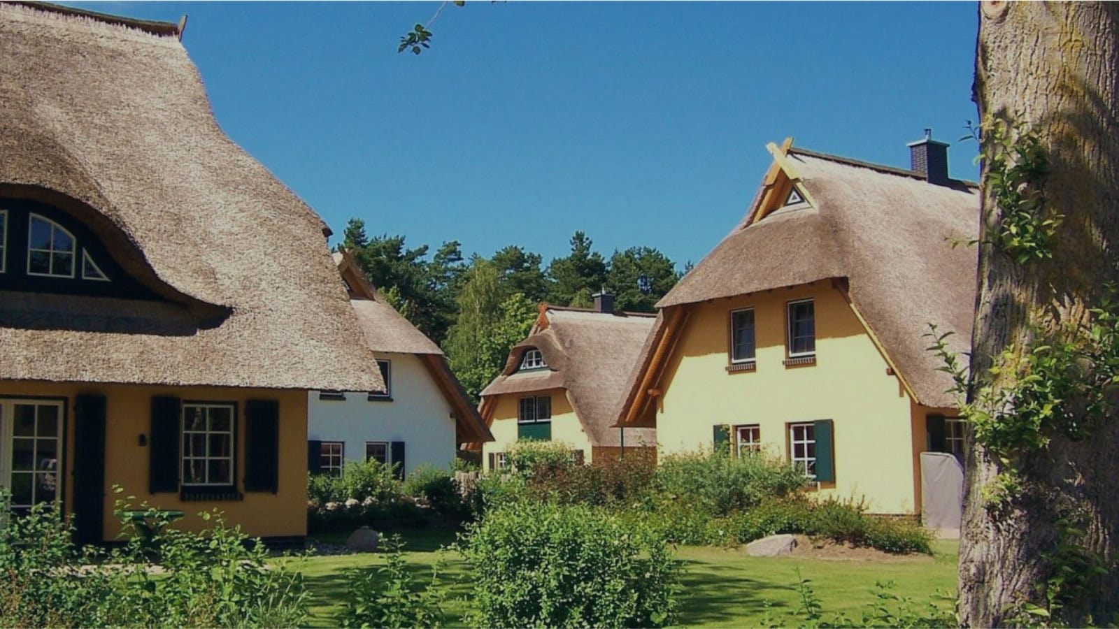 Küstenwaldvillen im Strandhotel Fischland