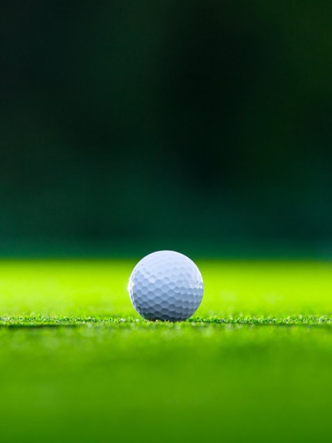 Golf im Strandhotel Fischland