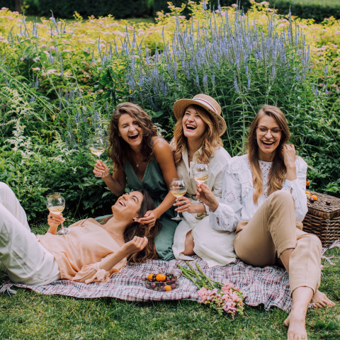 Freundinnen beim Picknick mit Wein und Obst