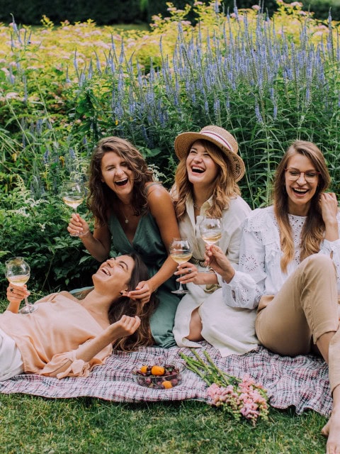 Freundinnen beim Picknick mit Wein und Obst