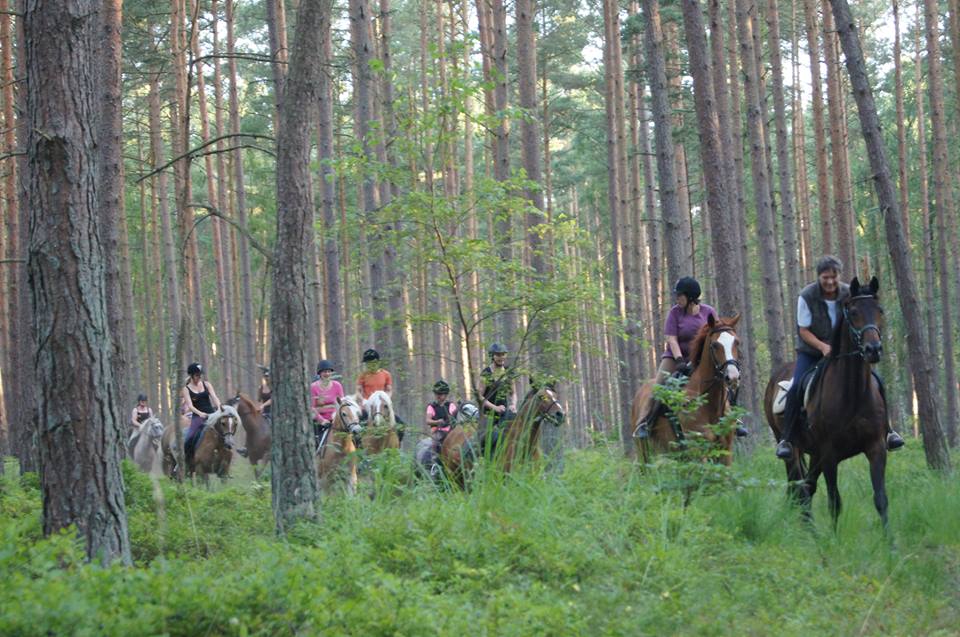 Ausreiten im Dünenwald am Strandhotel Dünenmeer