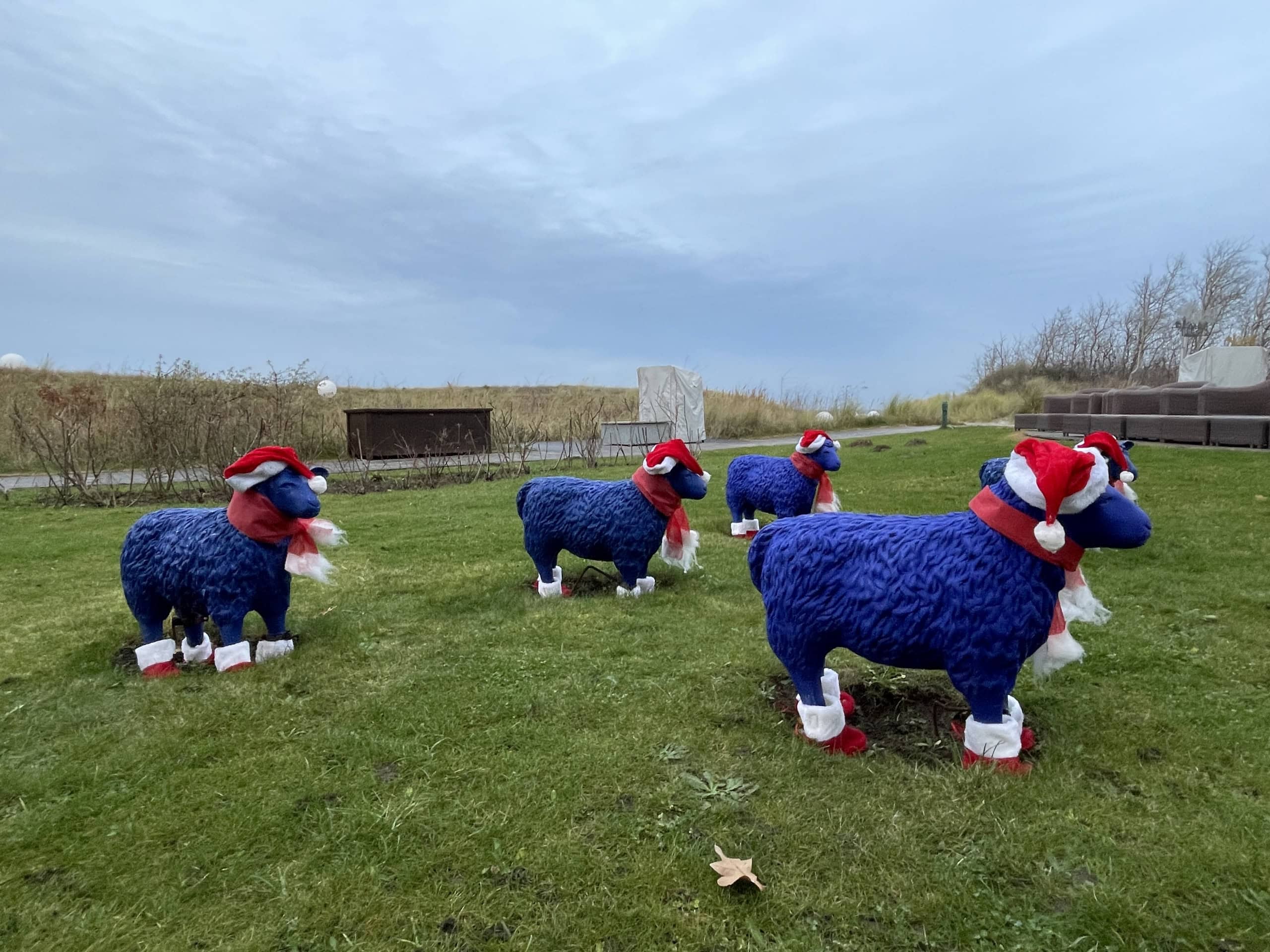 weihnachtlich dekorierte Schafe im Strandhotel Dünenmeer