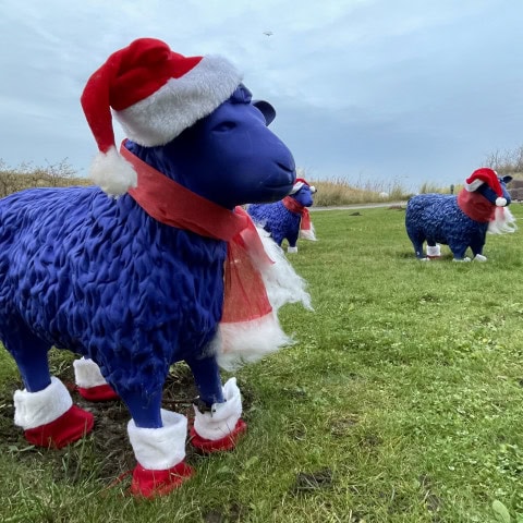 weihnachtlich dekorierte Schafe im Strandhotel Dünenmeer
