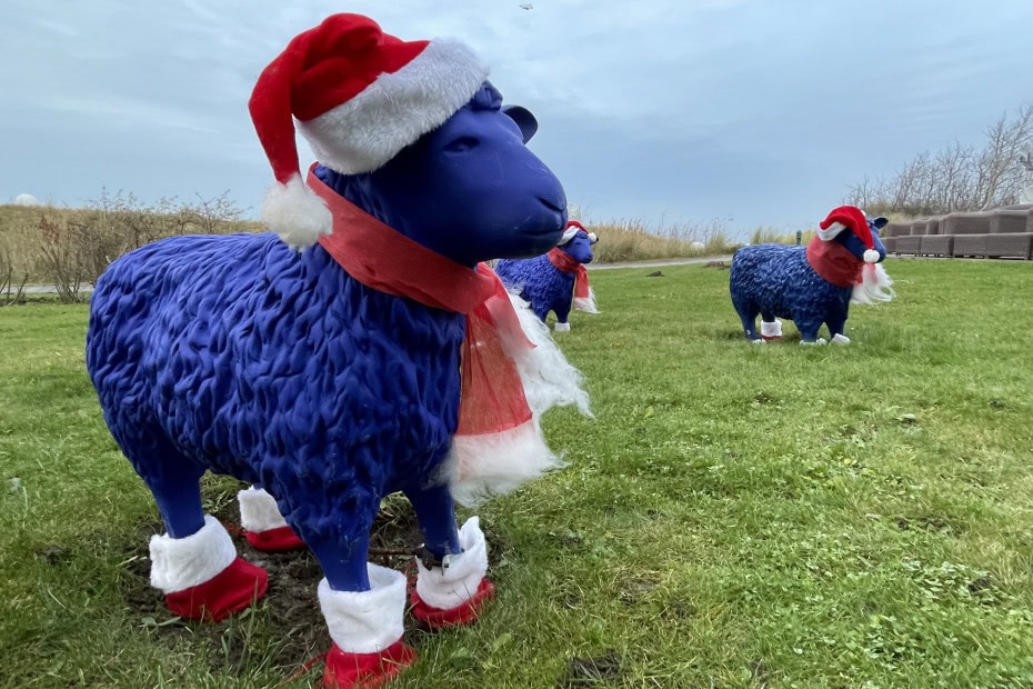 weihnachtlich dekorierte Schafe im Strandhotel Dünenmeer