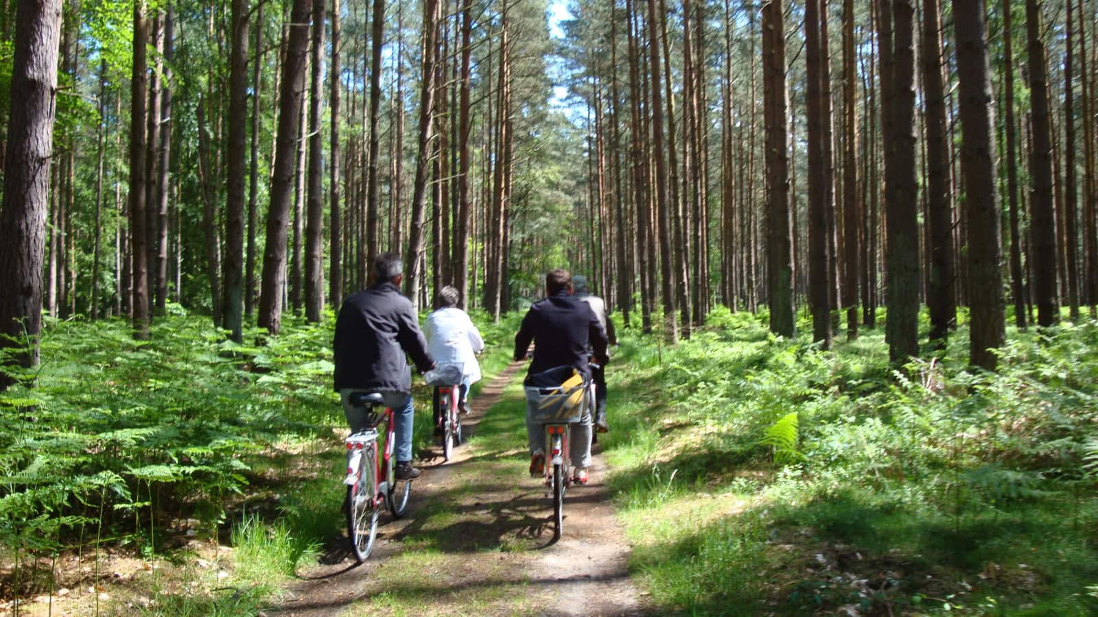 Radtour mit Leihfahrrädern des Strandhotel Dünenmeers