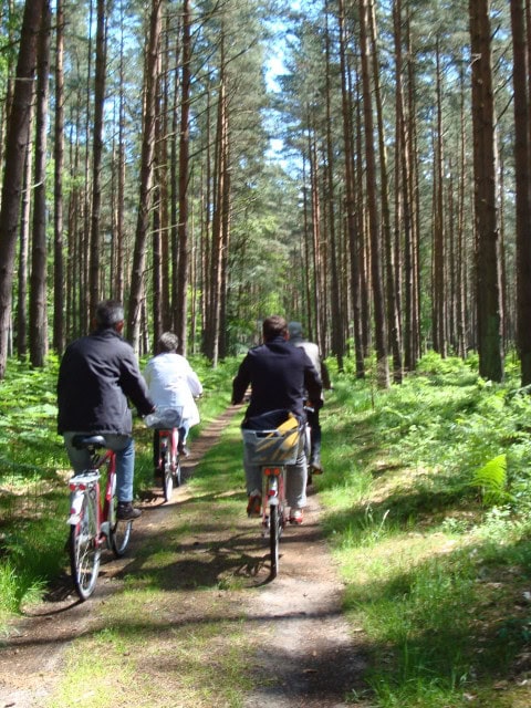 Radtour mit Leihfahrrädern des Strandhotel Dünenmeers