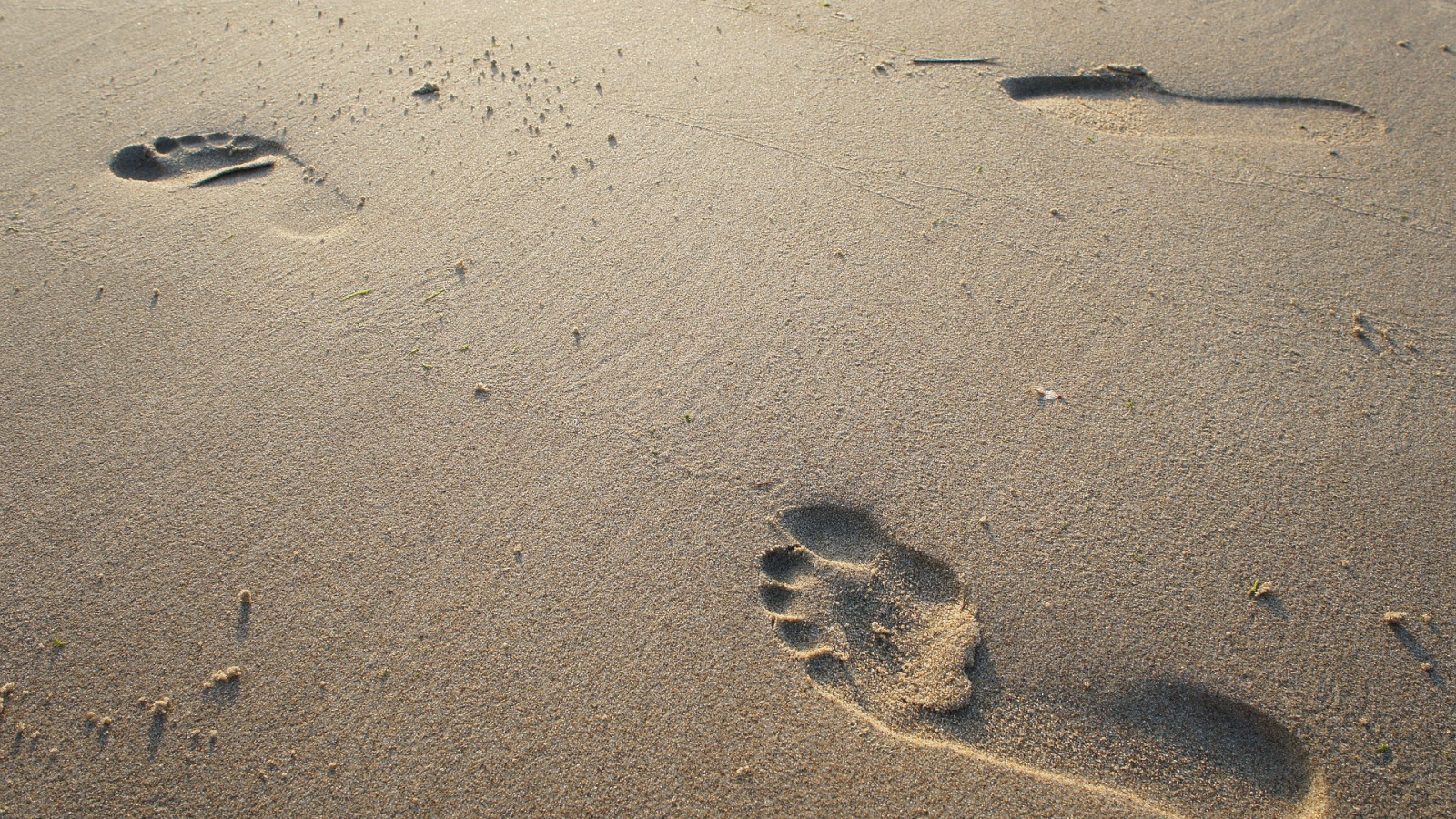 Fußspuren im Ostseesand