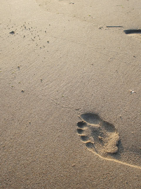 Fußspuren im Ostseesand